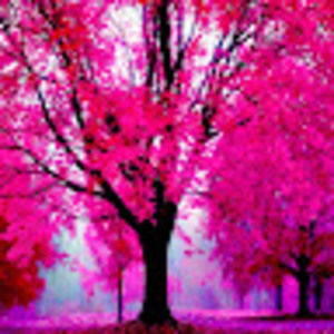 Meet your Posher, Twyla